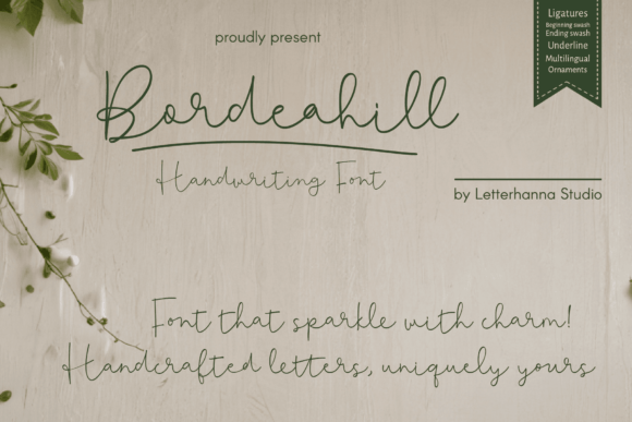 Bordeahill Font Review: Elevating Web Design with Script Style