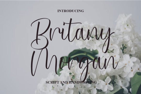 Britany Morgan: A Script Font for Elegant Branding