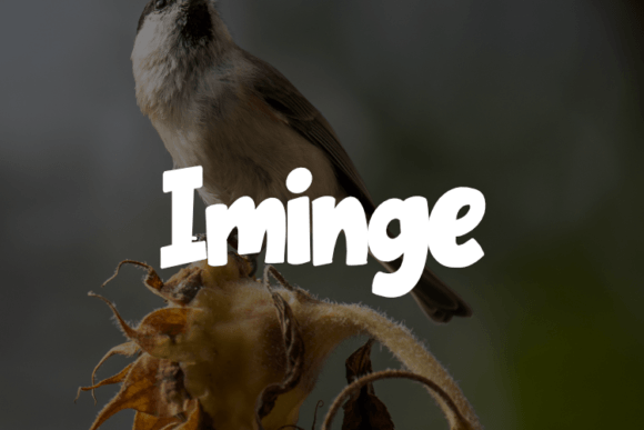 Iminge Font: Elevate Your Brand Visuals