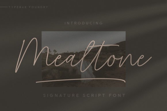 Mealtone: A Signature Typeface for Modern Web Design