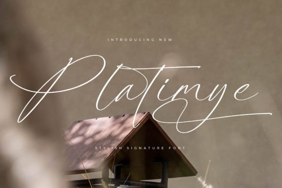 Platimye Font Review: Elevating Web Design with Grace